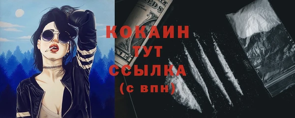 хмурый Аркадак