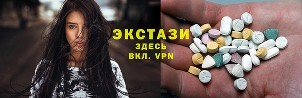 хмурый Аркадак