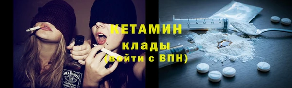 хмурый Аркадак