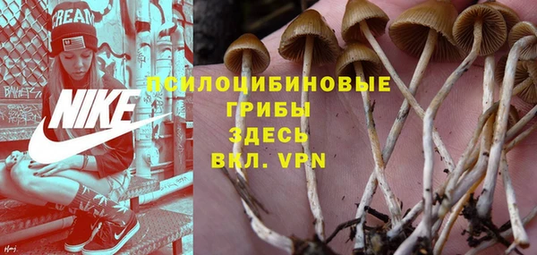 круглые Алзамай