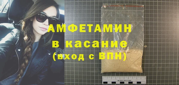 хмурый Аркадак