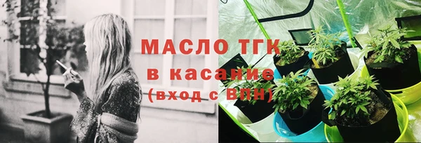 хмурый Аркадак